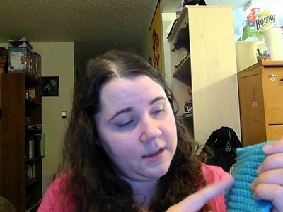 Crochet Update 02.27.2014 Excuses and Homework :(
