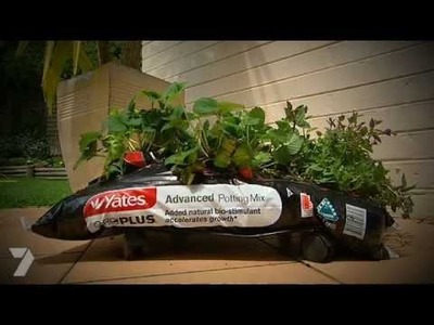 Better Homes and Gardens TV - DIY Kitchen Garden