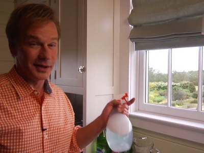 Homemade Window Cleaner | At Home With P. Allen Smith