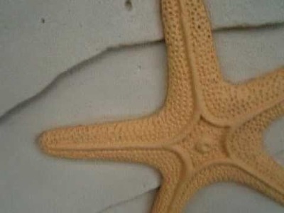 Starfish carving