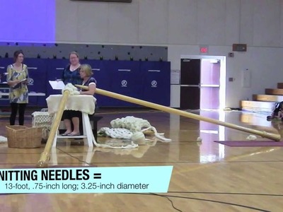 World's Record Knitting Needles and Crochet Hook Attempt