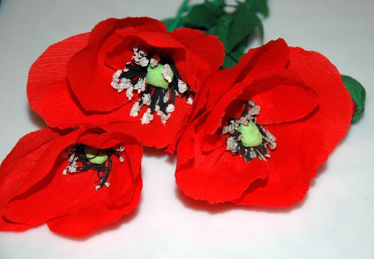 How to make tissue flowers - poppies Maki z bibuły DIY