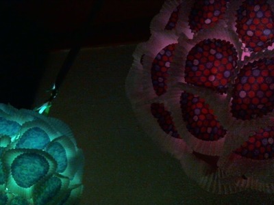 DIY Cupcake Liner Lanterns (With Lights)