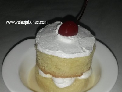 No bake, Naked Tres Leches Cake (Diorizella Events & Crafts)