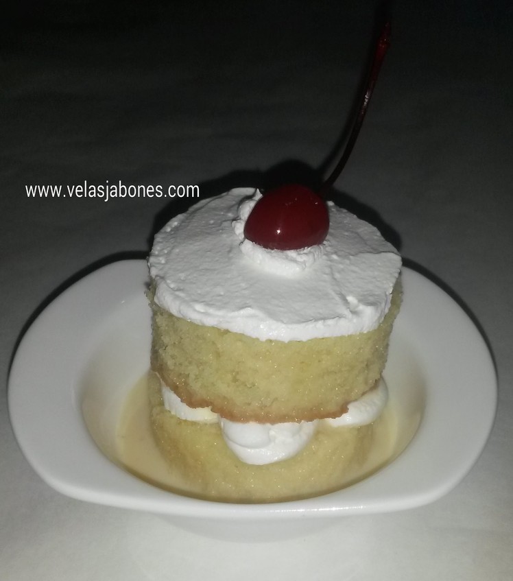 No bake, Naked Tres Leches Cake (Diorizella Events & Crafts)