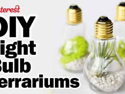 DIY Light Bulb Terrariums - Man Vs Pin - Pinterest Test #56