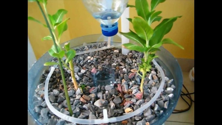 PET Bottle Aquaponics System , A Beginner How to Video on DIY Crafts and Recycling Ideas