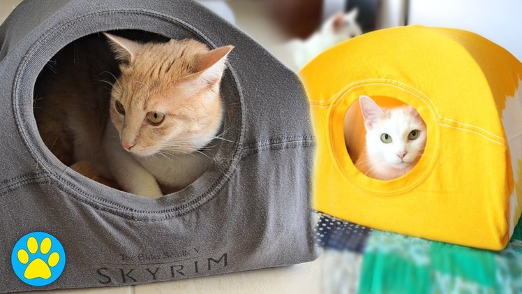 DIY Cat Tent (Pet Vs Pin!)
