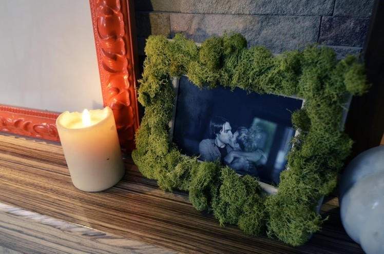Mr. Kate DIY "Living" Moss Picture Frame