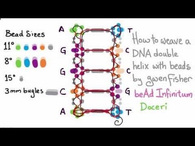 DNA Beaded Earrings: How to weave a double helix with beads by Gwen Fisher
