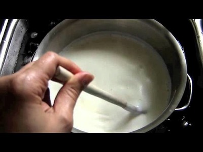 Homemade Fage Style Yogurt - Part 1 - Nili's Kitchen Creations