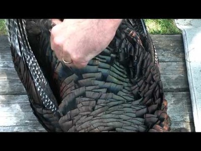 How to breast a turkey by Ayers Custom Calls