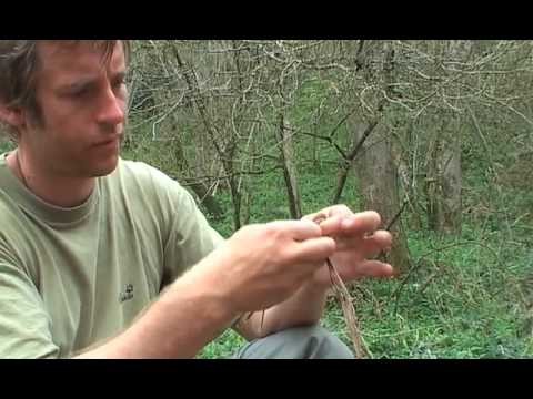 How to make string in nature