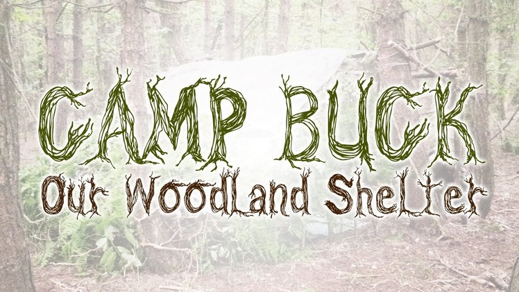 Our Woodland Bushcraft Shelter