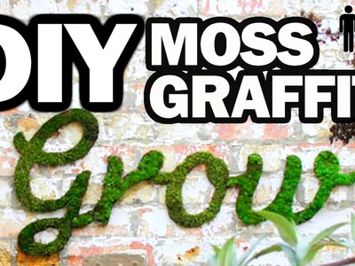 DIY Moss Graffiti - Man Vs. Pin #24