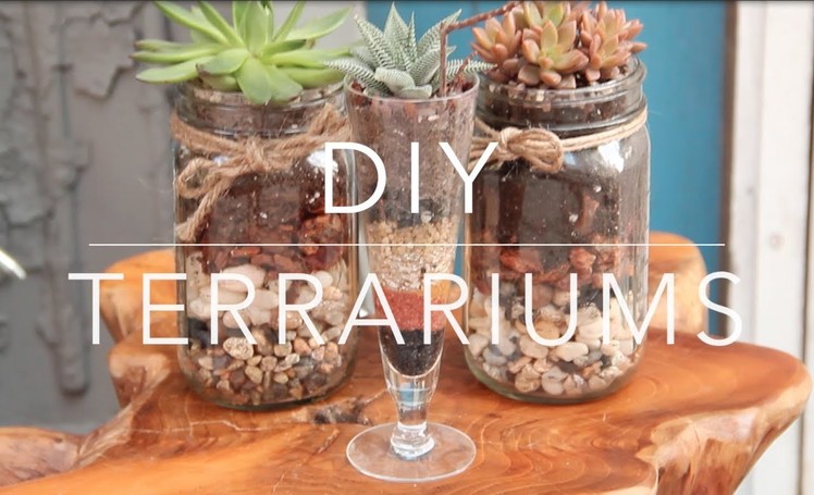 DIY - Terrariums in a Hanging Globe & Mason Jar