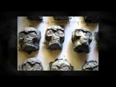 Tutorial: Papier Mache Skulls Trailer