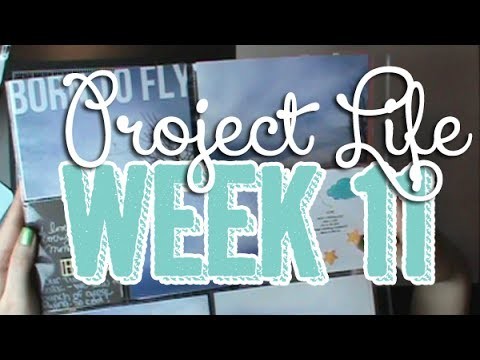 375: Week 11 Project Life 2014 Scrapbook Process using Studio Calico Office Hours & Blush Core Kit