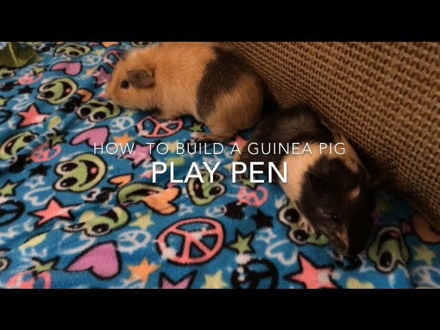 DIY Guinea Pig Play-Pen