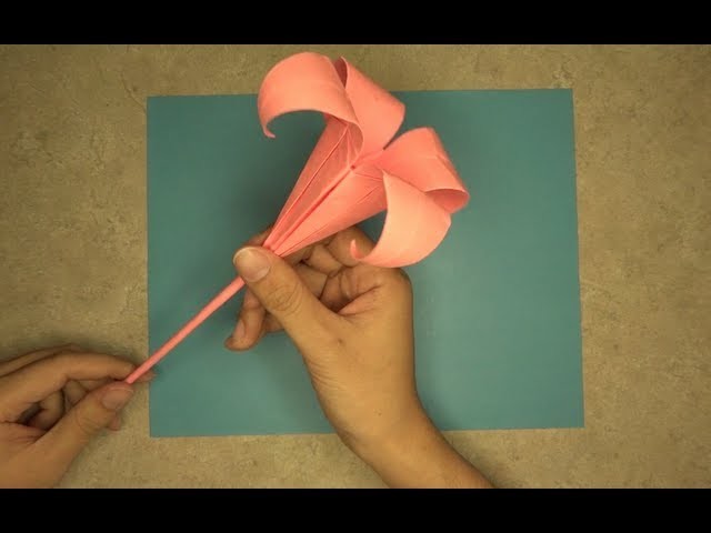How to make a Lily: Mr.Origami, Lesson 7