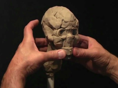 Sculpting a Human Skull in Clay_part-1