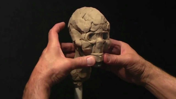 Sculpting a Human Skull in Clay_part-1