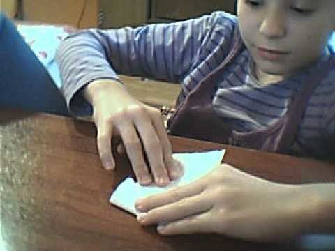 Broscuta origami