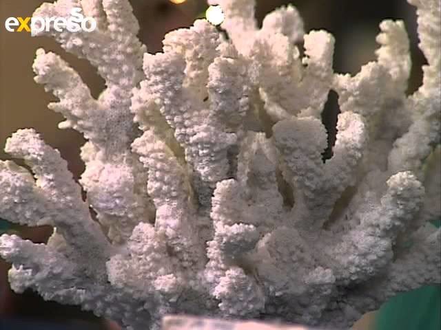 Craft: Party Styling ideas with Matanna Katz (5.11.2012)