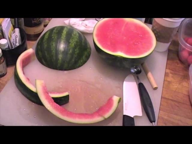 How to Make Watermelon Animals (Easy)