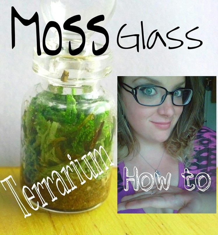 (Tutorial) Mini moss terrarium | glass vial | self sustaining