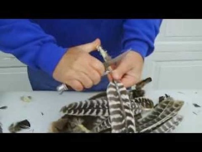 Wild Turkey Hunting; video 10 of 11 Processing a whole wing