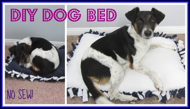 {Step-by Step NO SEW} DIY Dog Bed