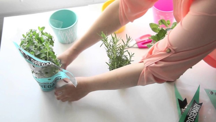 5 Tips - How To Plant Herbs Indoors [DIY, Mintedplum]