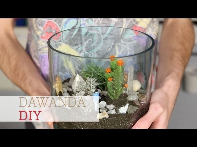 How to make a cactus Terrarium