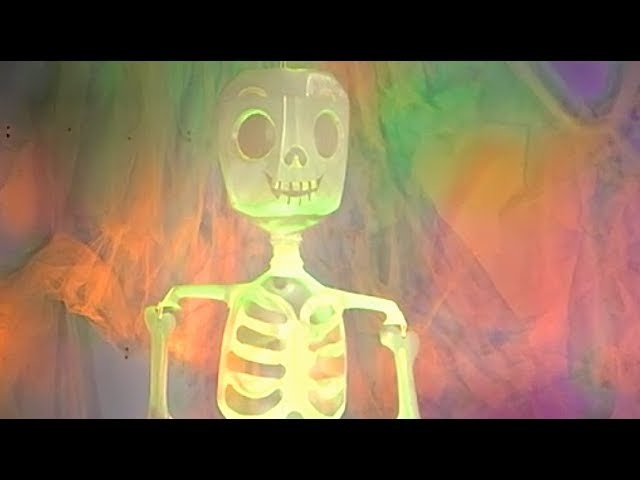 Mr. Bottle Bones Skeleton Craft Decoration | Halloween | Babble