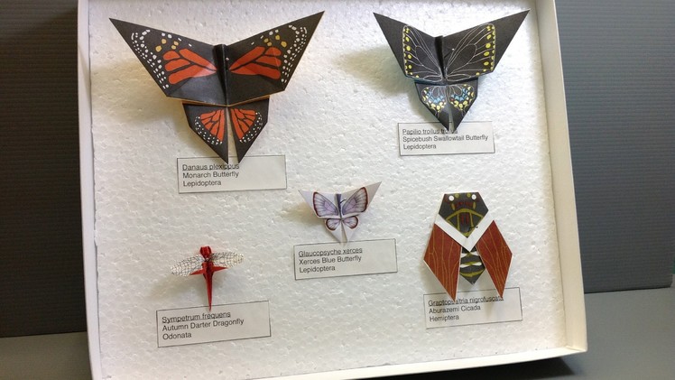 Free Origami Paper - Print Your Own! - Origami Bug Collection
