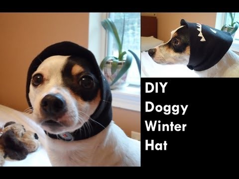 DIY Doggy Winter Hat
