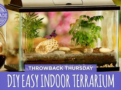 DIY Easy Indoor Terrarium - Throwback Thursday - HGTV Handmade