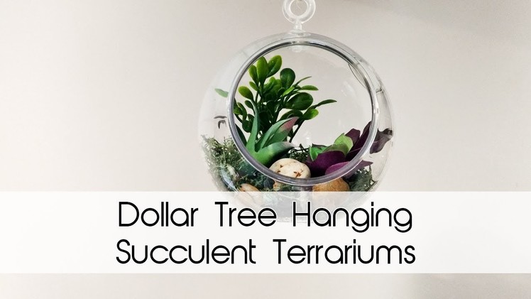 Hanging Succulent Terrariums | All Dollar Tree Supplies! | DIY Decor | Creation in Between