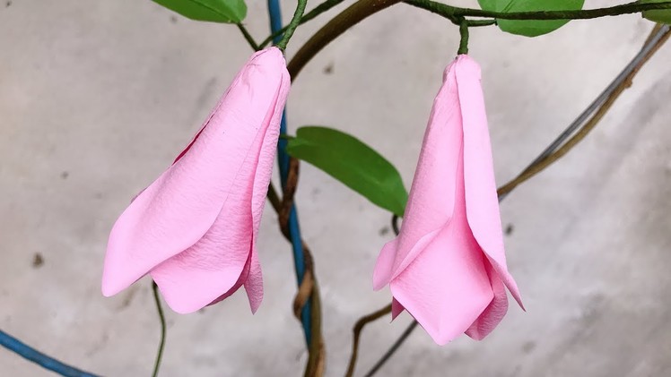 ABC TV | How To Make Lapageria Rosea Paper Flower - Craft Tutorial