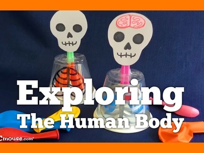 Crafts and Activities for Kids: Exploring the Human Body, Learning About Lungs by ABCmouse.com