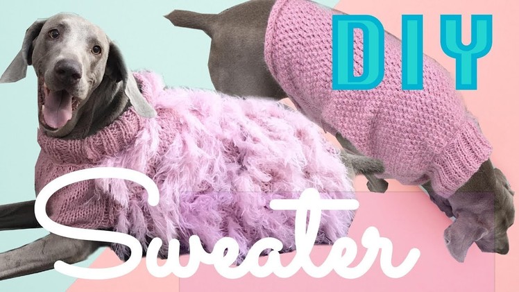Knit a sweater for your dog! :D   ( part 2)