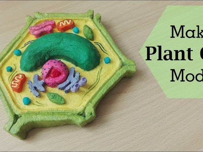 Simple and Easy way to make plant cell model |3d styrofoam carving