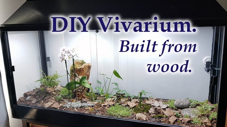 DIY Vivarium. Building the wooden frame and base.