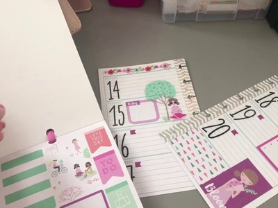 Mini Happy Planner PWM- Squad Goals Stickers ONLY Challenge!