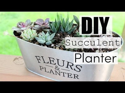 Succulent Planter DIY | Let's Plant Some Stuff!