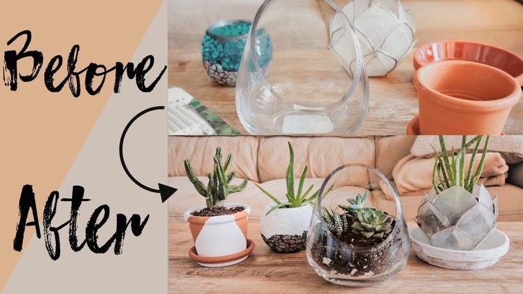 DIY Thrift Flip: Boho Plant Pots & Cacti Terrarium!