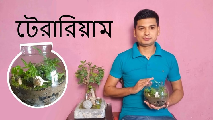 How to Make a Terrarium in Bangla