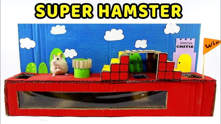 Making Super Mario Course For Cute Hamster- DIY Hamster