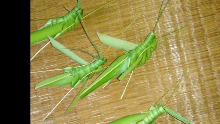 How to make palm insect 1 (coconut tree leaves)